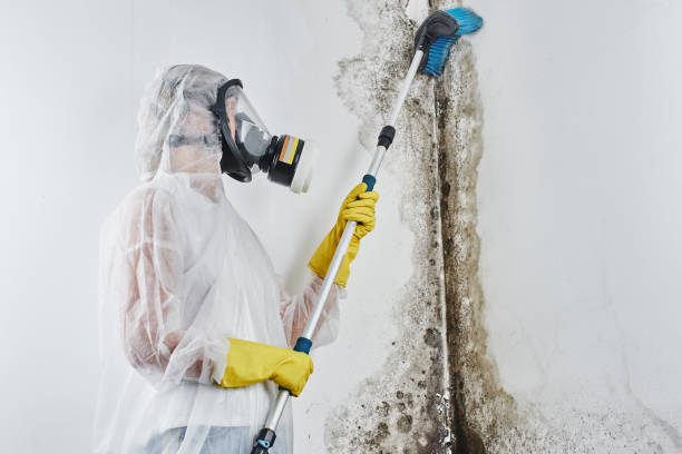 Best Crawl Space Mold Removal  in North Middletown, NJ