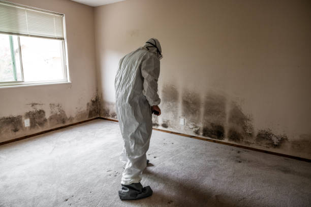 Best Emergency Mold Removal  in North Middletown, NJ