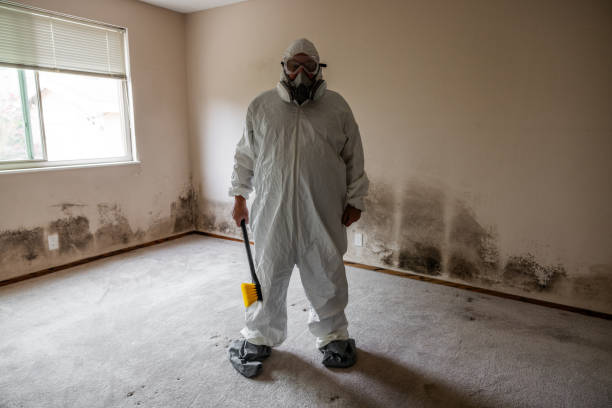 Best Mold Removal Process  in North Middletown, NJ